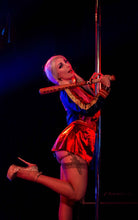 Load image into Gallery viewer, Harley Quinn Burlesque Performance